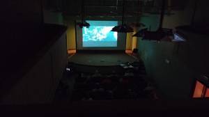 BARDI FILM FESTIVAL 