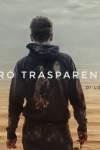 Oro Trasparente