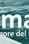 Umar - il rumore del mare