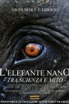 L'Elefante Nano Tra Scienza E Mito