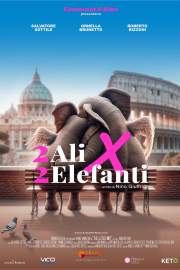 2 Ali x 2 Elefanti